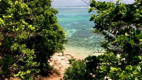 beautiful view of the blue waters of green bowl beach in bali with lush green trees