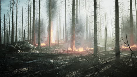 forest fire with burned trees after wildfire