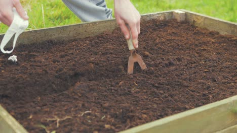 hoeing soil in raised garden bed to sow seeds