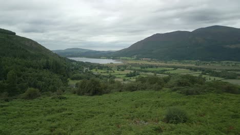 Volando-Bajo-Sobre-El-Muro-De-Piedra-Para-Revelar-El-Verde-Campo-Del-Valle,-Las-Montañas-Y-El-Lago-Bassenthwaite-En-Un-Día-Nublado-De-Verano