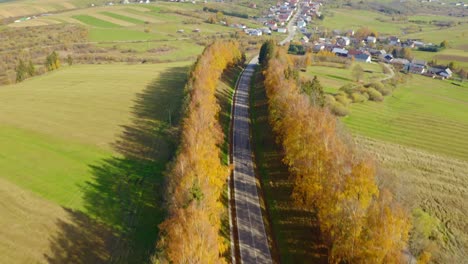 country road between autumn forest trees in slovakia - aerial drone shot