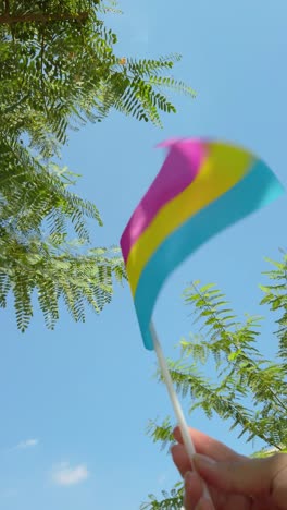 vibrant pansexual pride flag held in urban park