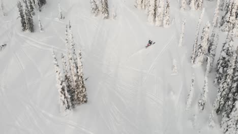 drohnenaufnahme einer person, die ein schneemobil durch verschneite bäume in revelstoke, british columbia, fährt