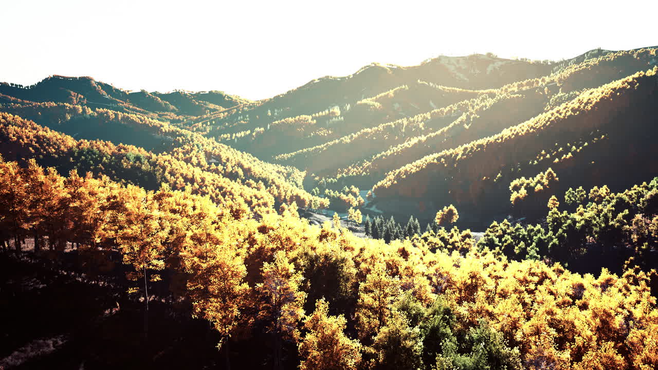 스위스의 산과 푸른 하늘에서 가을의 숲의 전망