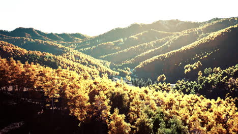 view on autumn forest in mountains and blue sky of switzerland