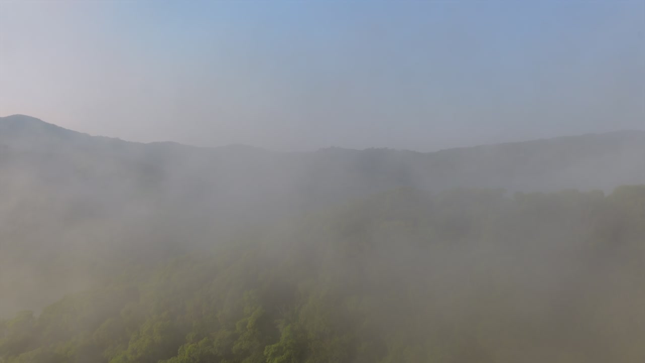 Drone footage capturing misty morning fog over lush green landscape of Presa EL Carrizo, Jalisco. Soft lighting and serene atmosphere enhance the panoramic beauty and tranquility