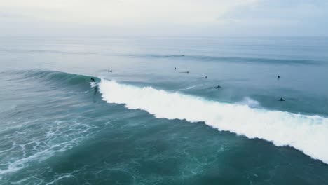 an unrecognizable surfer catches a wave in carlsbad