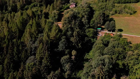 Bosque-De-Montaña-De-Coníferas-En-El-Campo-De-Los-Alpes-Orobie,-Lombardía-En-El-Norte-De-Italia-Bajo-Un-Cielo-Soleado