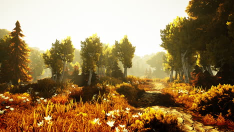 cartoon sunbeams streaming through the trees