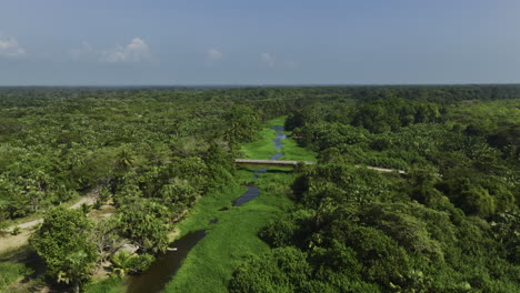 Aerial-view-over-a-overgrown-river-and-Mangrove-forests-of-Barra-San-Jose,Chiapas-Mexico