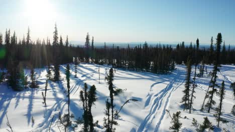 two friends snowmobiling through the snow-covered terrain of talkeetna, alaska, pushing the limits of their snowmobiles, having fun and enjoying the breathtaking winter landscape