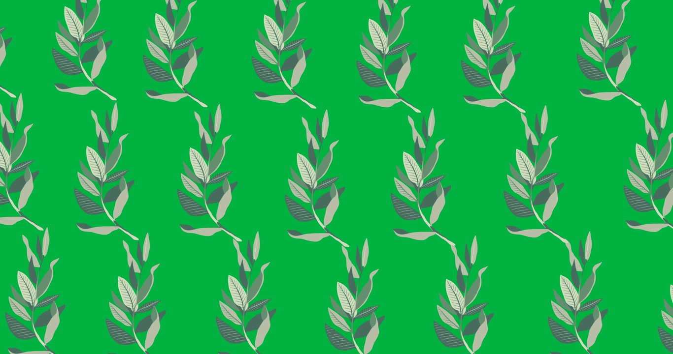 Starting playback, frames showing botanical sprigs tiled across transparent canvas for decoration