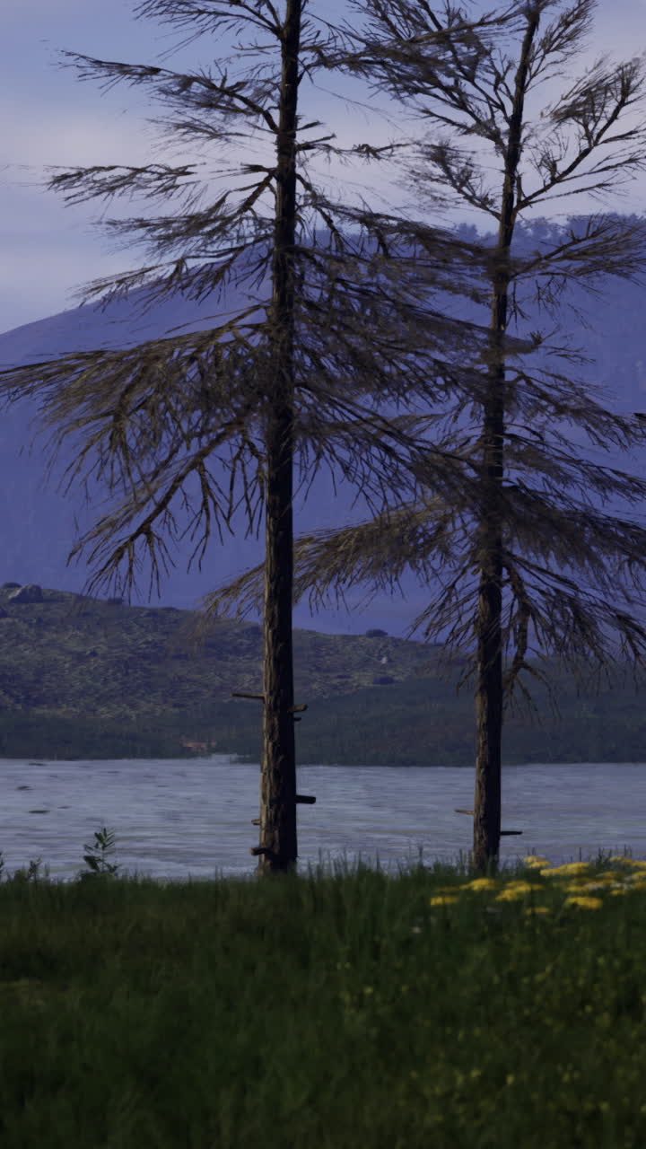Beautiful serene lake surrounded by mountains and trees at dusk