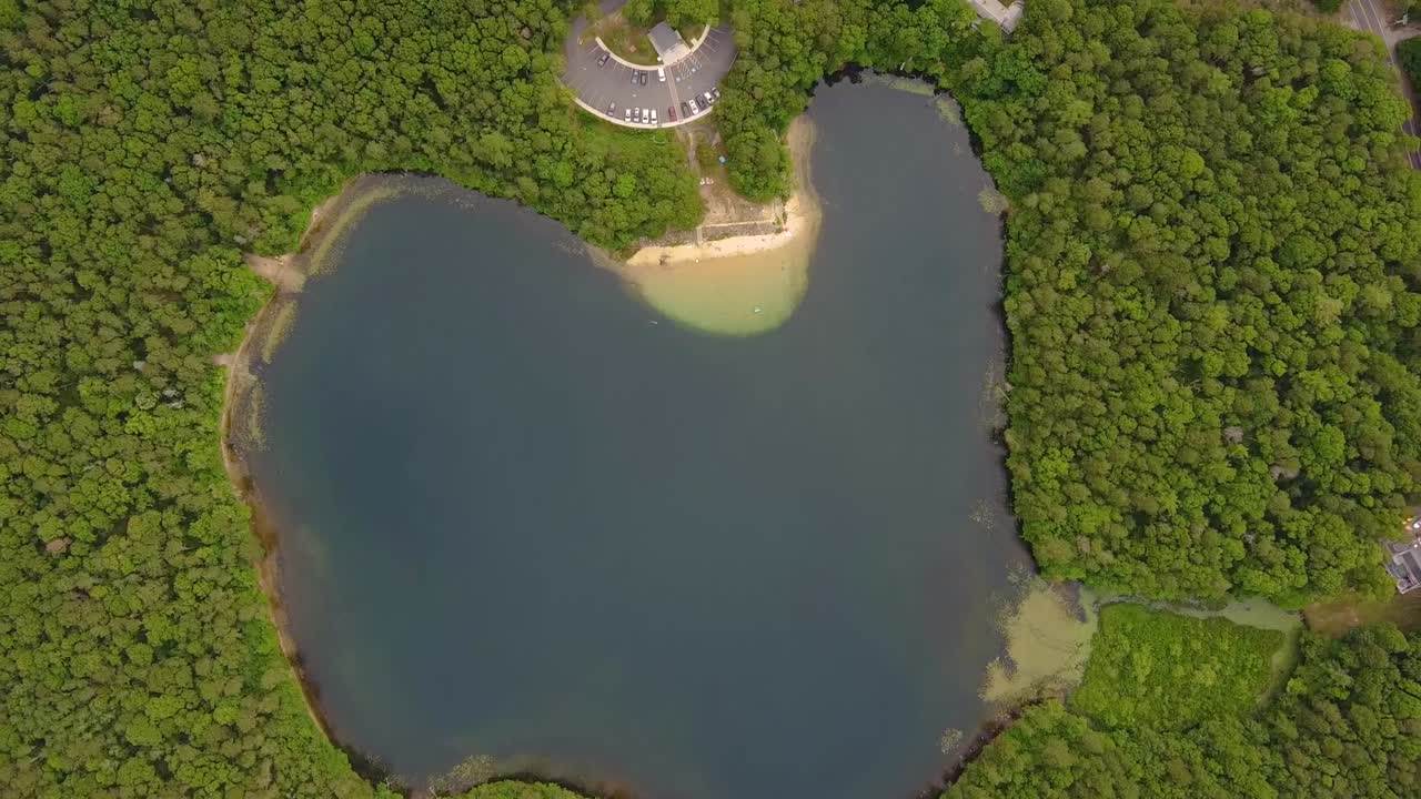 vista de pájaro del estanque joshua rodeado por un denso bosque en massachusetts