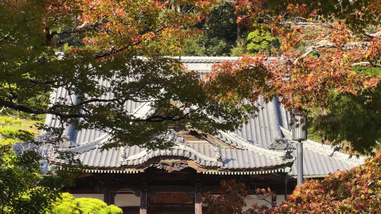 hermoso edificio del templo japonés con colores de otoño con el viento ondeando