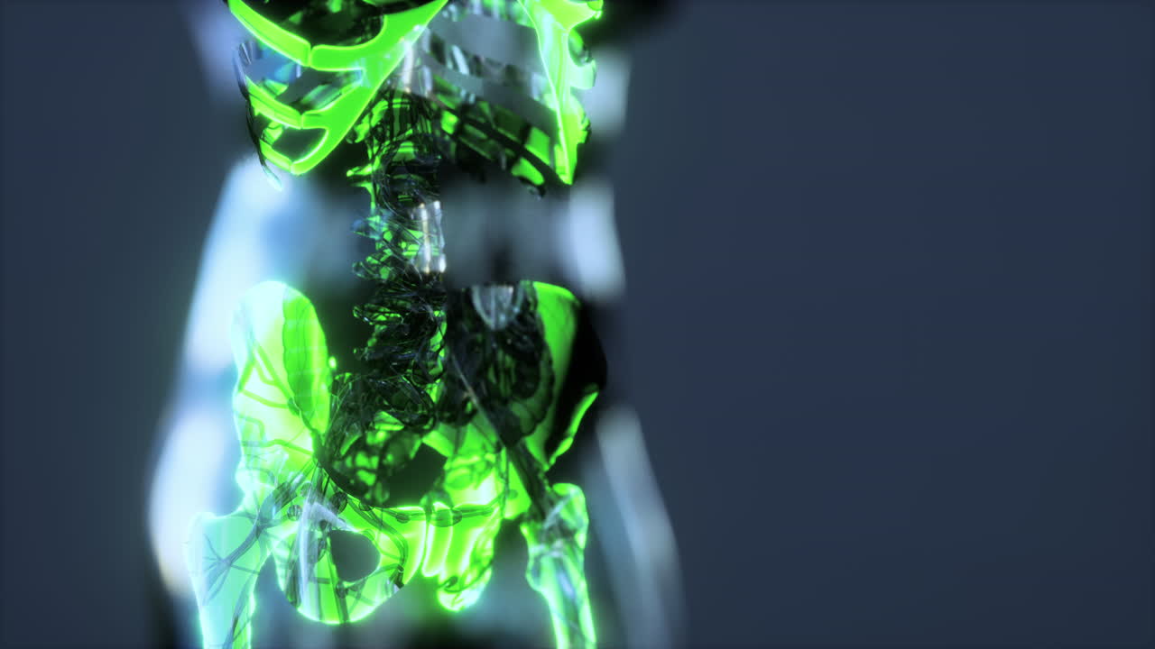 exploración de la anatomía del esqueleto humano