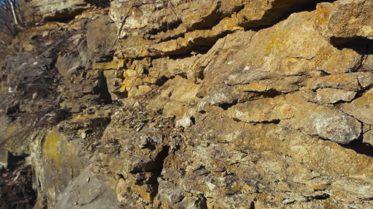 Close up or closeup footage of yellow and brown crumbeling limestone wall at a mountain or hill base during a sunny day in Tabasalu. Plants, roots and twigs are growing between the rocks. Blue sky.