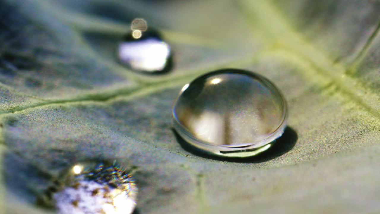 gotas de agua en una hoja