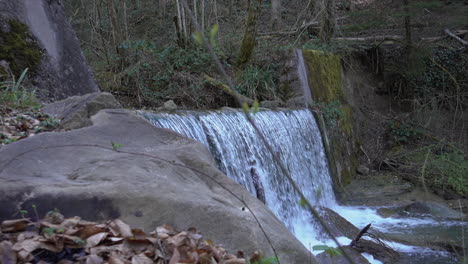 panning shot: small waterfall of a river flowing in a swiss alps forest