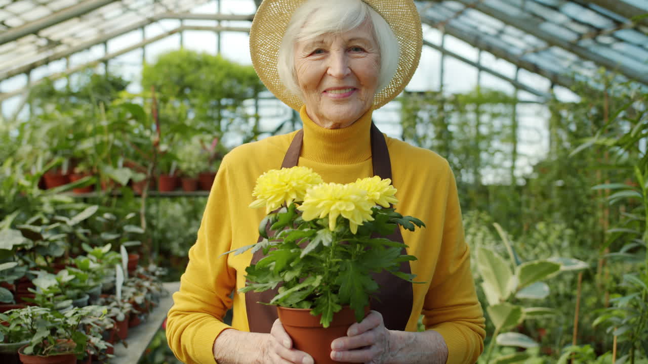Smiling Senior Gardener with Yellow Chrysanthemum