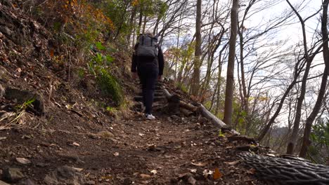 Male-Hiker-With-Backpack-Walking-Up-On-The-Rough-Narrow-Trail-With-Bare-Trees-On-A-Sunny-Morning---Low-Angle-Shot