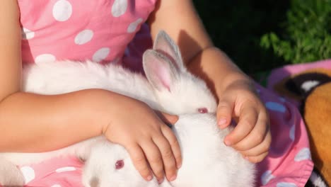 child petting cute white baby rabbits
