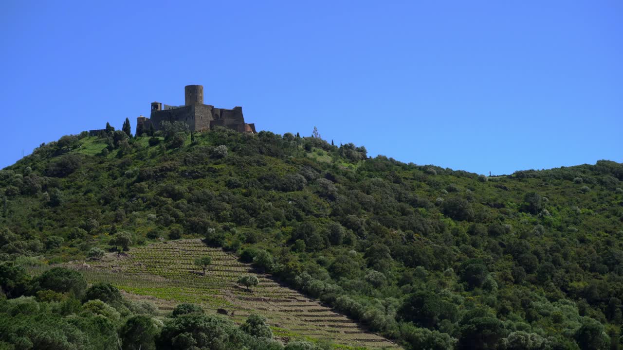 Fort Saint-Elme che troneggia fiero sulla cima della collina in una giornata ventosa, sopra la storica città di Collioure nel sud della Francia.