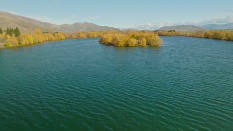 Volando-Sobre-El-Lago-Wairepo-Arm-Con-Hermosos-árboles-De-Color-Amarillo-En-La-Orilla-Durante-El-Otoño