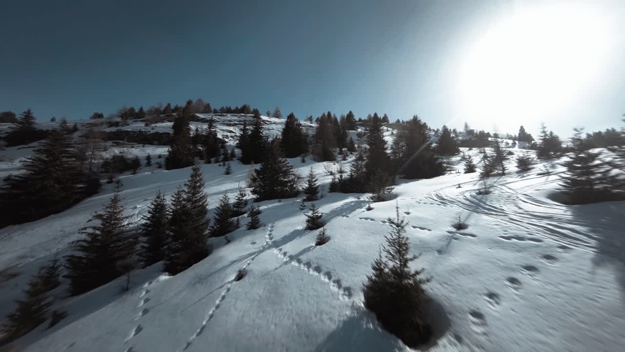 Percorso cinematico di drone FPV attraverso gli alberi e su