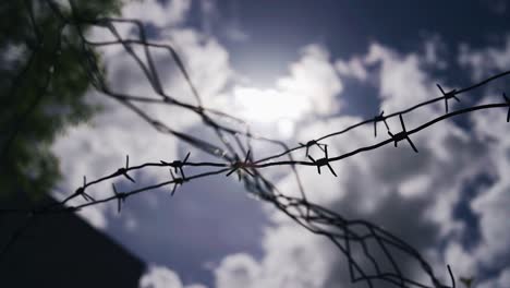 close-up shooting of barbed wire on a fence. a clear silhouette against the sky