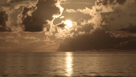 beach sunrise with birds in the distance flying near ocean water