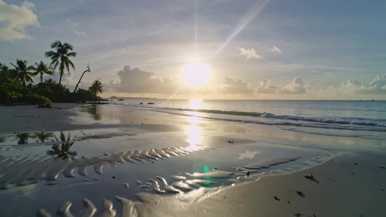 Câmera em movimento capturando o sol refletindo na praia de areia molhada, revelando ondulações da maré e palmeiras.
