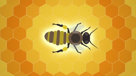 video vertical, abeja de miel flotando sobre un patrón pulsante de panal hexagonal, animación, bucle sin costuras