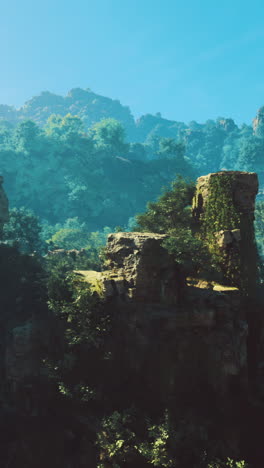 Explore the lush landscapes of ancient ruins in a vibrant natural setting