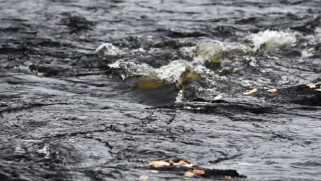 beautiful slow motion video of rapids in a wild river