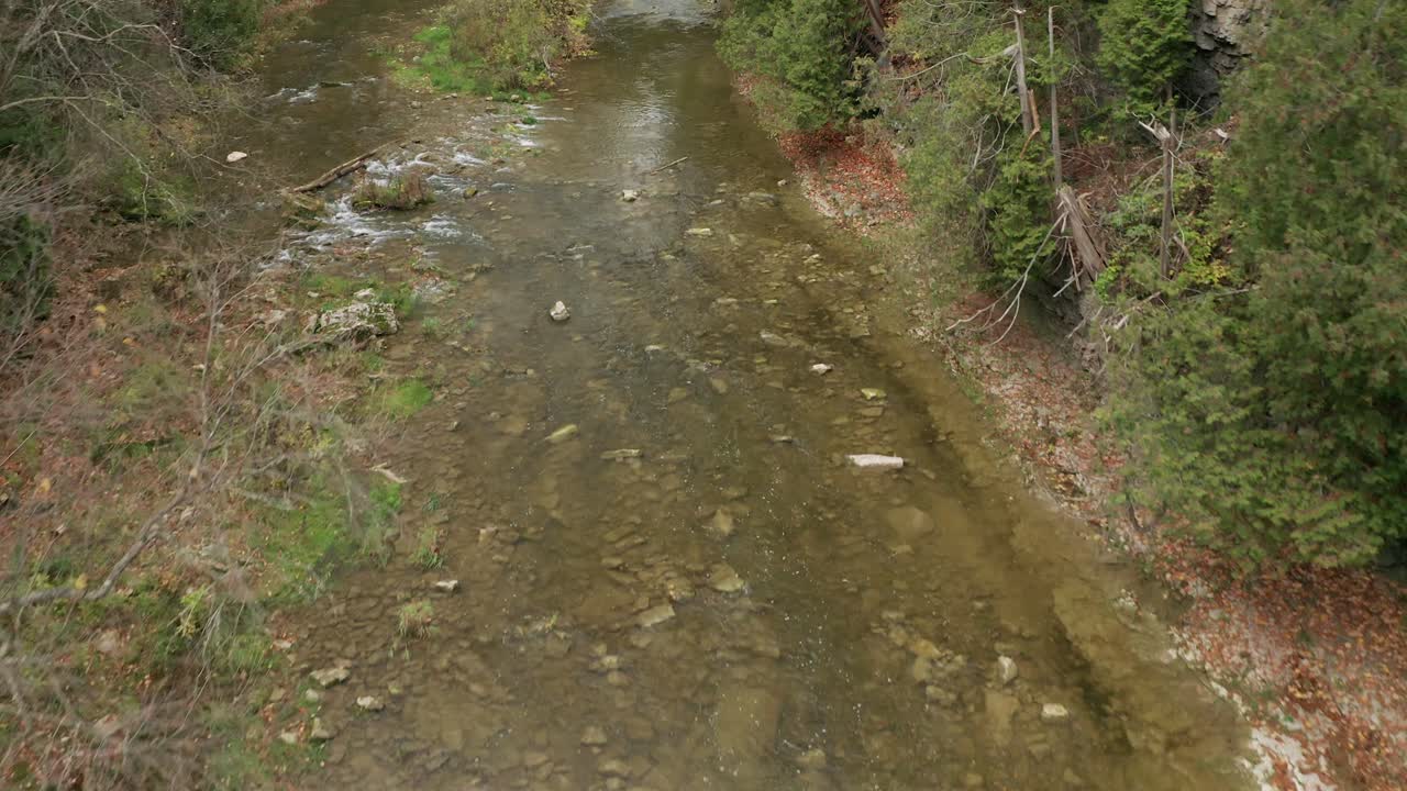 Drone shot looking down at a river gorge, with clear running water, starting on a close up and gradually widening out to reveal trees and rocks