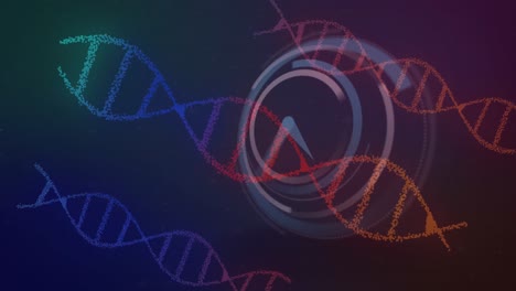 DNA--Und-Uhrenanimation-Auf-Hintergrund-Mit-Farbverlauf.