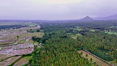 forward aerial cinematic view of fields filled with coconut trees and agriculture fields with range of hills at background in theni, tamil nadu