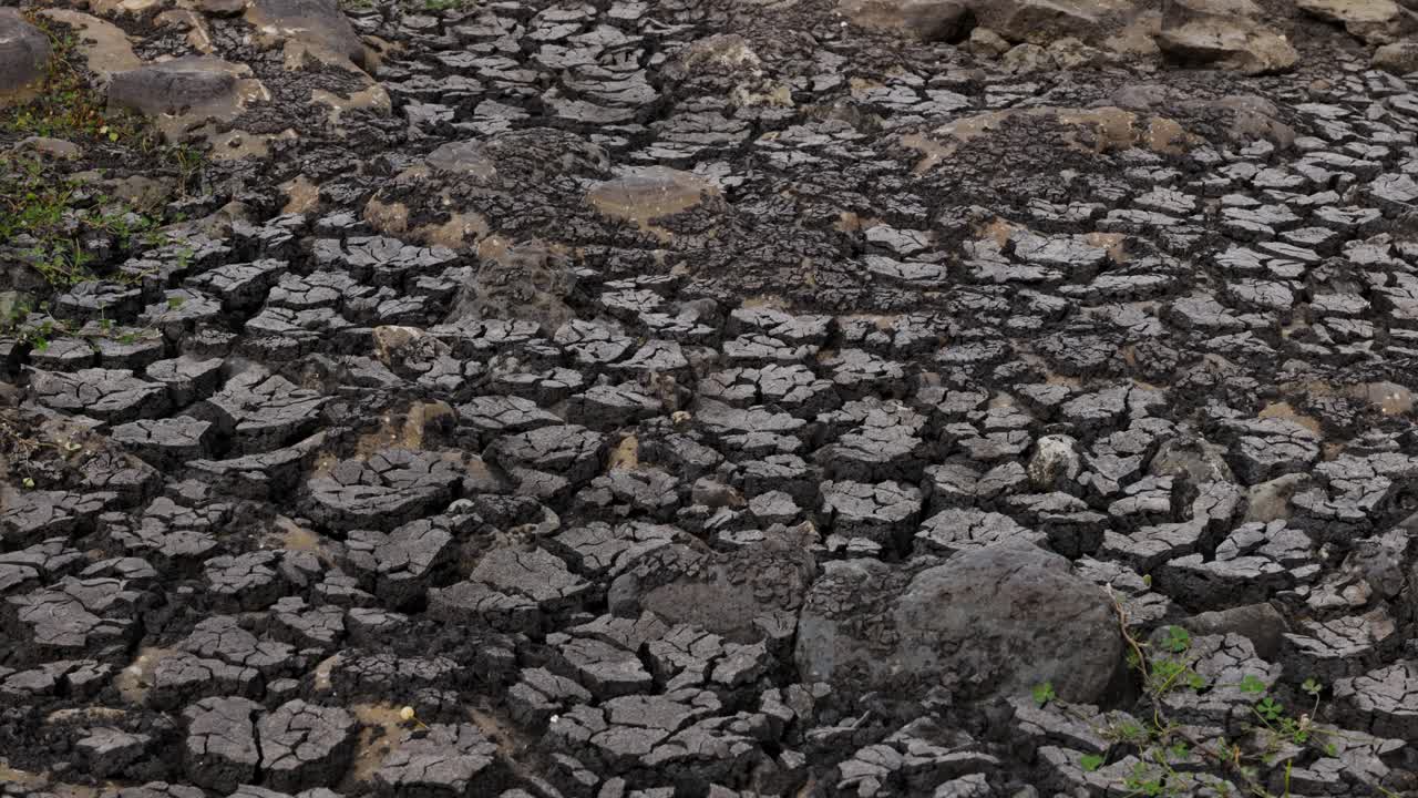 웅덩이의 마지막 물이 아프리카 사바나에서 사라지고 있다
