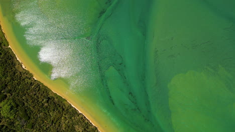 aerial-top-down-of-Wainui-Bay-Golden-Bay,-in-the-Tasman-Region-of-the-South-Island,-New-Zealand,-drone-natural-ocean-footage-relaxing-and-calming-visual