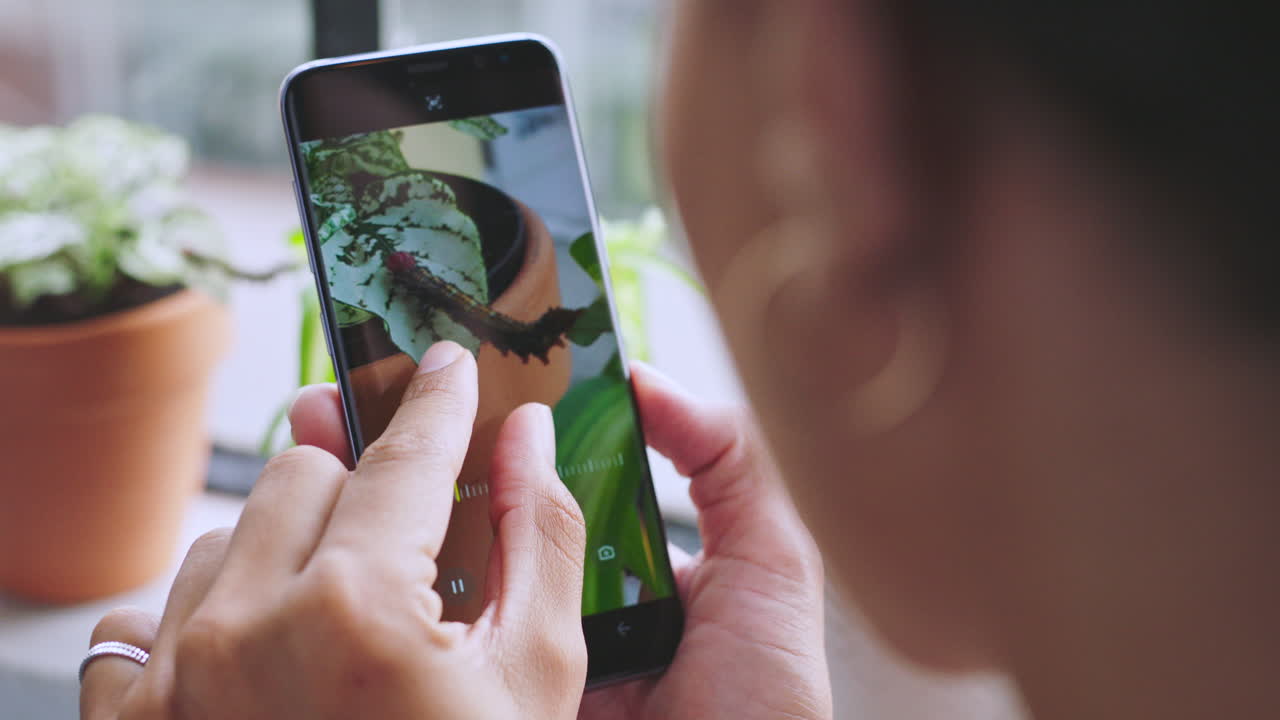 teléfono, mujer y tomando fotos de la oruga