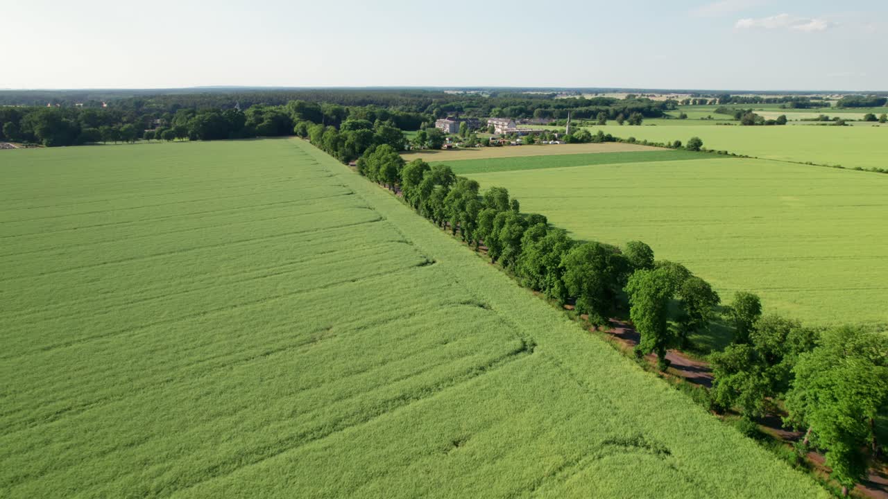 Straight road between green fields during summer, distance parallax drone shot