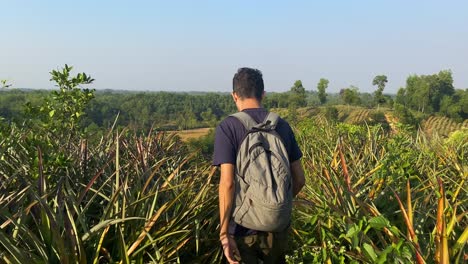 Rear-view-of-young-man-walking-through-garden-in-hill-top-then-raises-hands-in-achievement