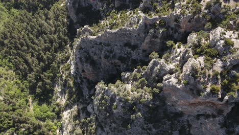 Una-Hermosa-Vista-De-árboles-Verdes-En-Un-Valle-Serpenteante