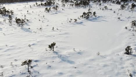 Vista-Aérea-De-Drones-En-Un-Paisaje-Pantanoso-Cubierto-De-Nieve