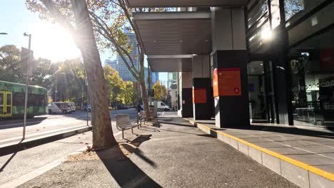 sunlit street with tram and pedestrian