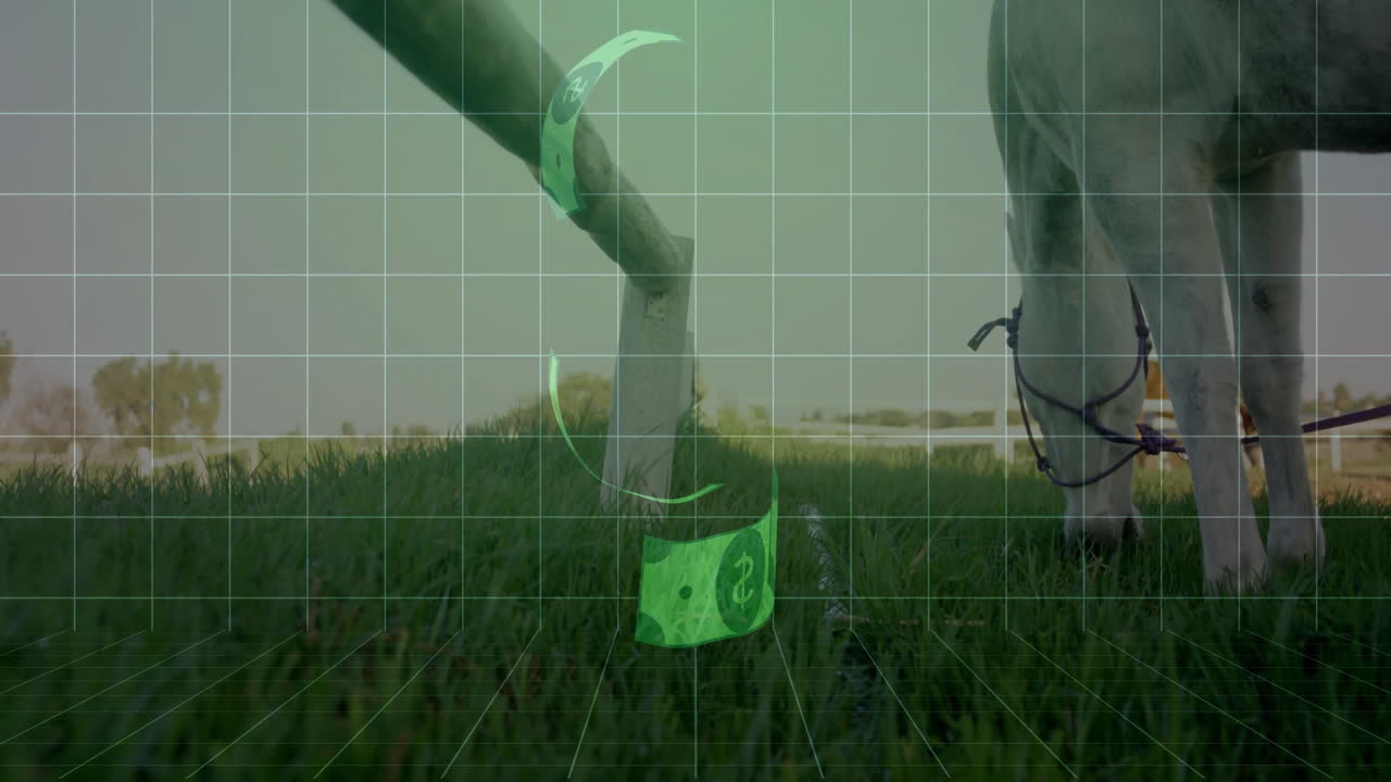 Wooden stake in grass with green holographic bills swirling around digital grid near grazing horse