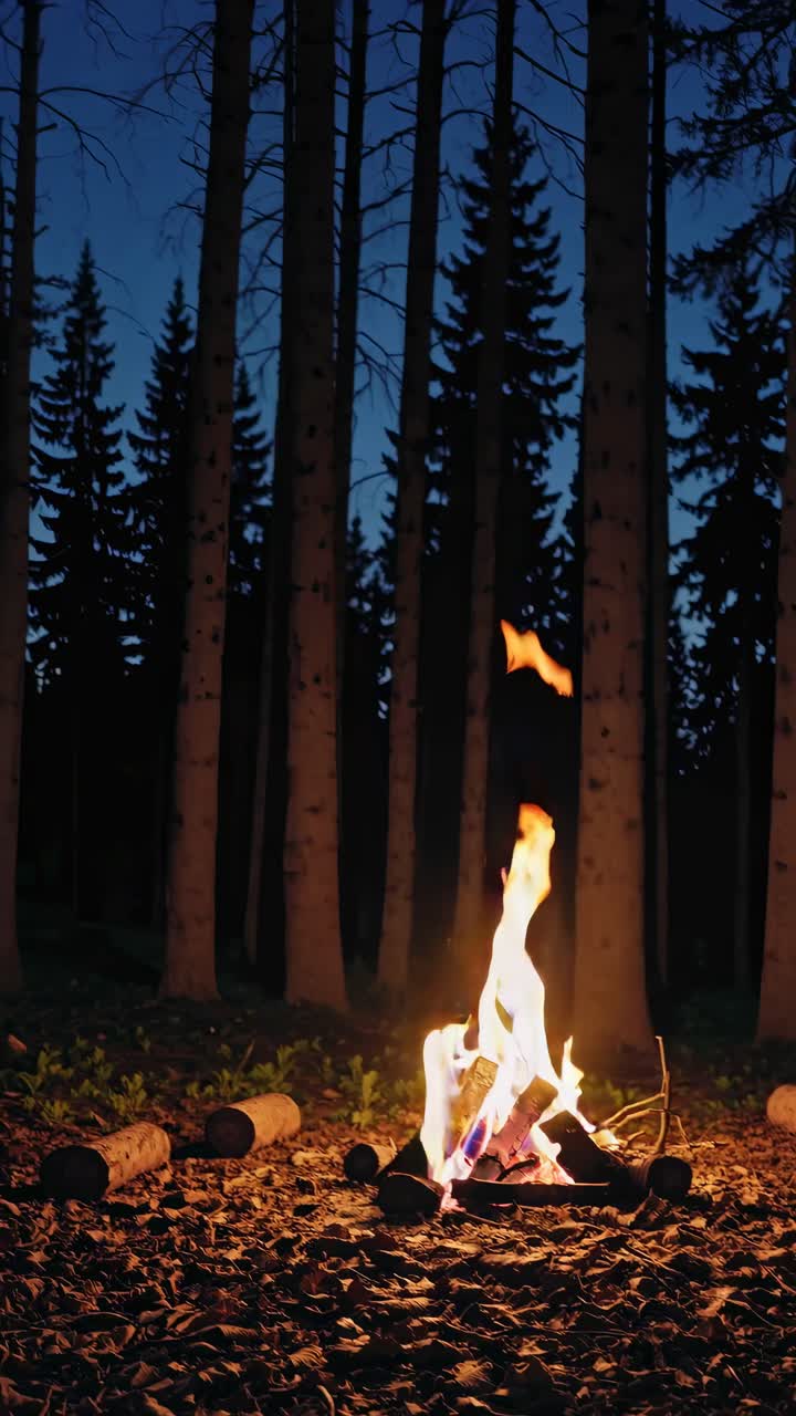 A cozy campfire glows in a forest clearing at dusk, captured from a low angle