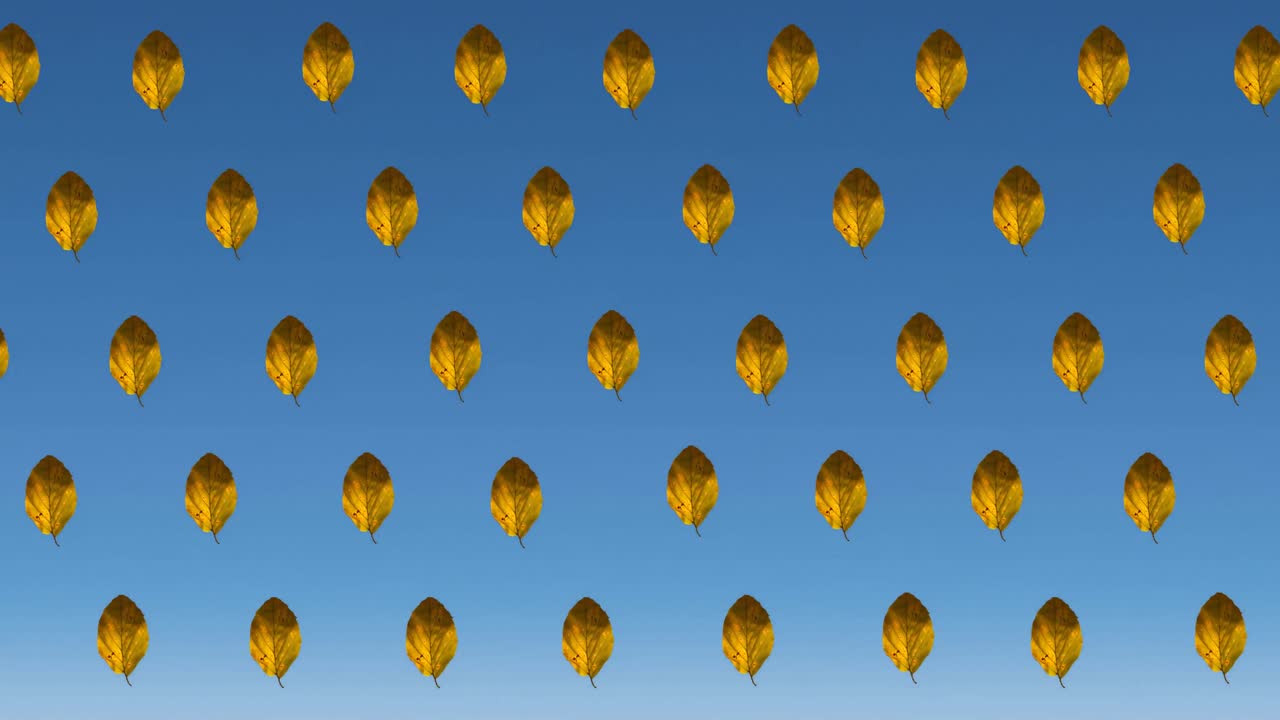 파란색 배경에 가을 노란색 잎의 줄의 애니메이션