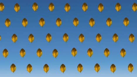 animación de filas de hojas amarillas de otoño sobre fondo azul